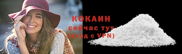 хмурый Корсаков