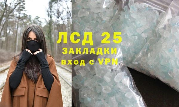 дживик Костерёво