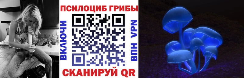 Псилоцибиновые грибы Magic Shrooms  OMG маркетплейс  Родники 