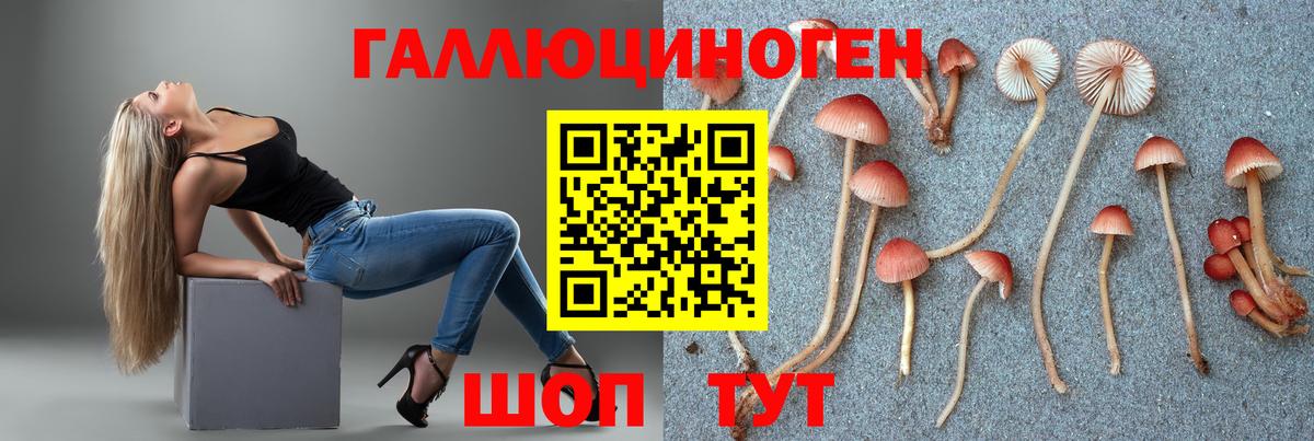 Родники  Галлюциногенные грибы прущие грибы  Псилоцибиновые грибы Cubensis  Вход с VPN 