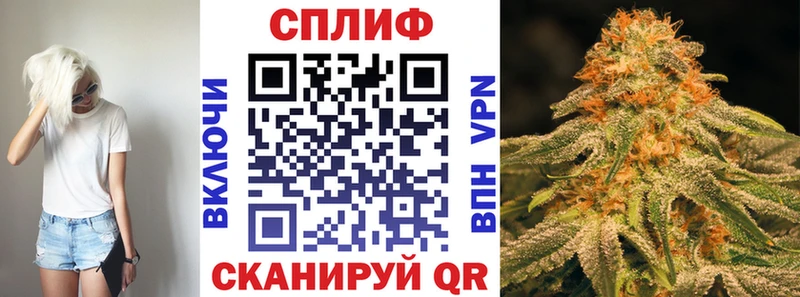 где купить наркотик Родники Каннабис планчик